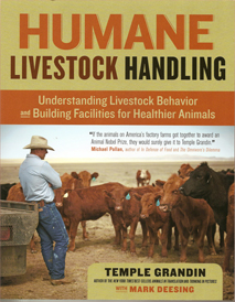 Manejo Humanizado de Gado