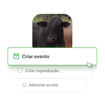 Evento