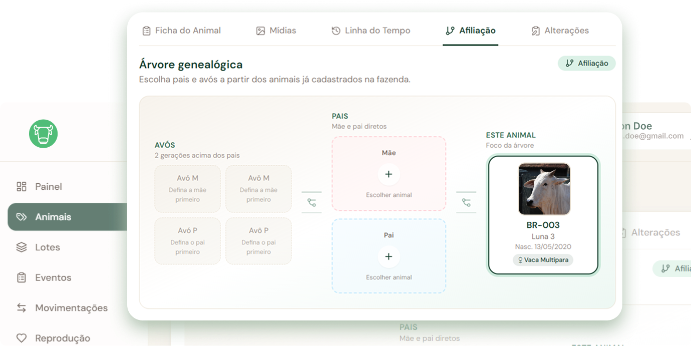 Genealogia