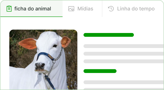 Identidade de cada animal