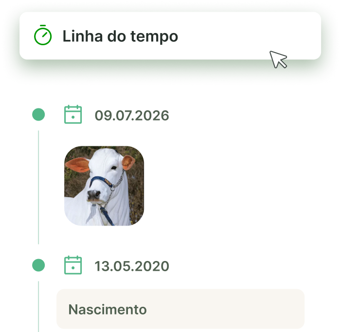 Linha do tempo