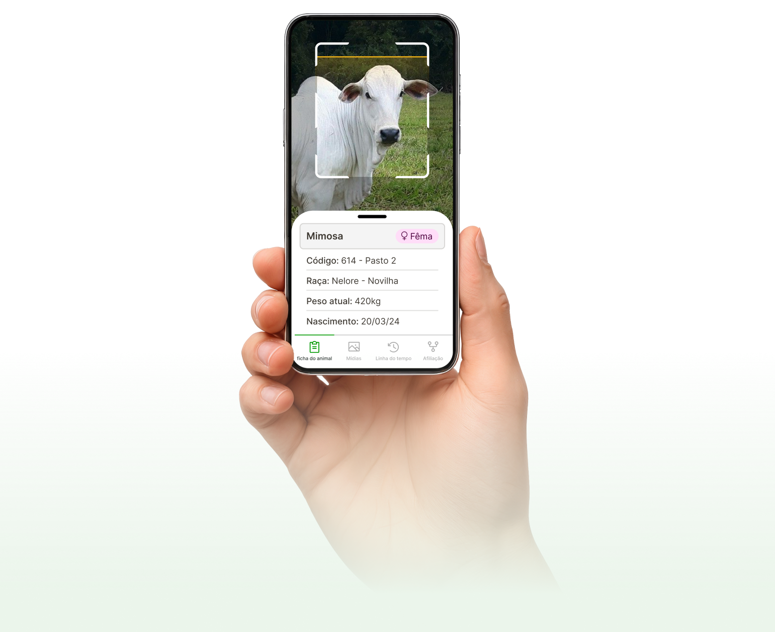 ManejAI app